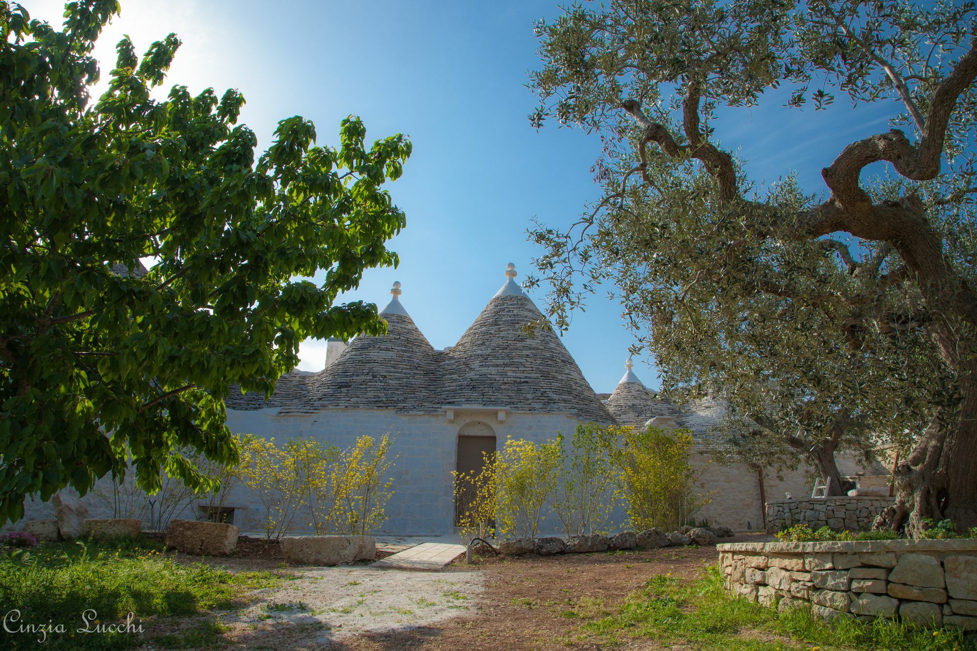 알베르벨로 Trulli Barsento 게스트하우스 외부 사진